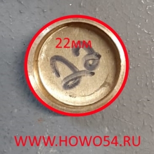 Заглушка WD615 Euro II блока двигателя D=22 (07782) 90003989721