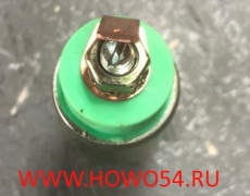 Датчик включения блокировки 2190-3834010