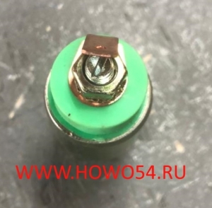 Датчик включения блокировки 2190-3834010