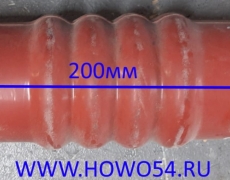 Патрубок интеркулера 60*200 SHAANXI DZ93259535325